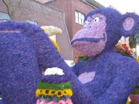 Bloemencorso 2013 - Aap!