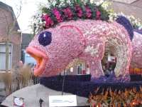Bloemencorso 2013 - Vis!