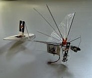DelFly!