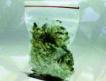 Cannabis!