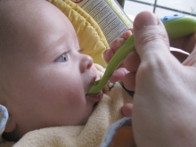 Fruit hapje!