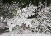 Ingesneeuwd!