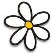 Bloem voor op de achterbumper, de margriet!
