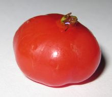 Pitanga fruit!