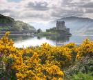 Scotland!