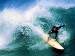 Surf!